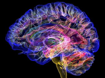 激情性爱15p大脑植入物有助于严重头部损伤恢复